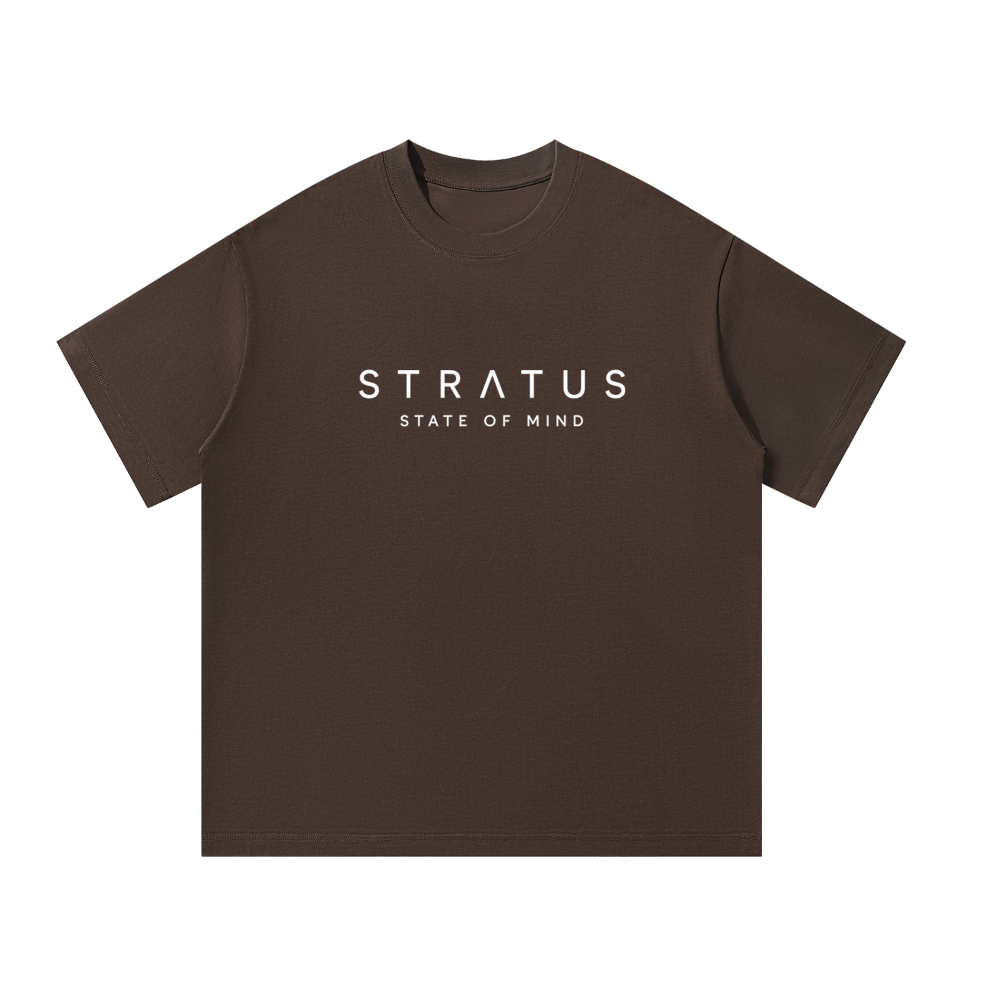 STATUS Brown Unisex Oversized T-Shirt