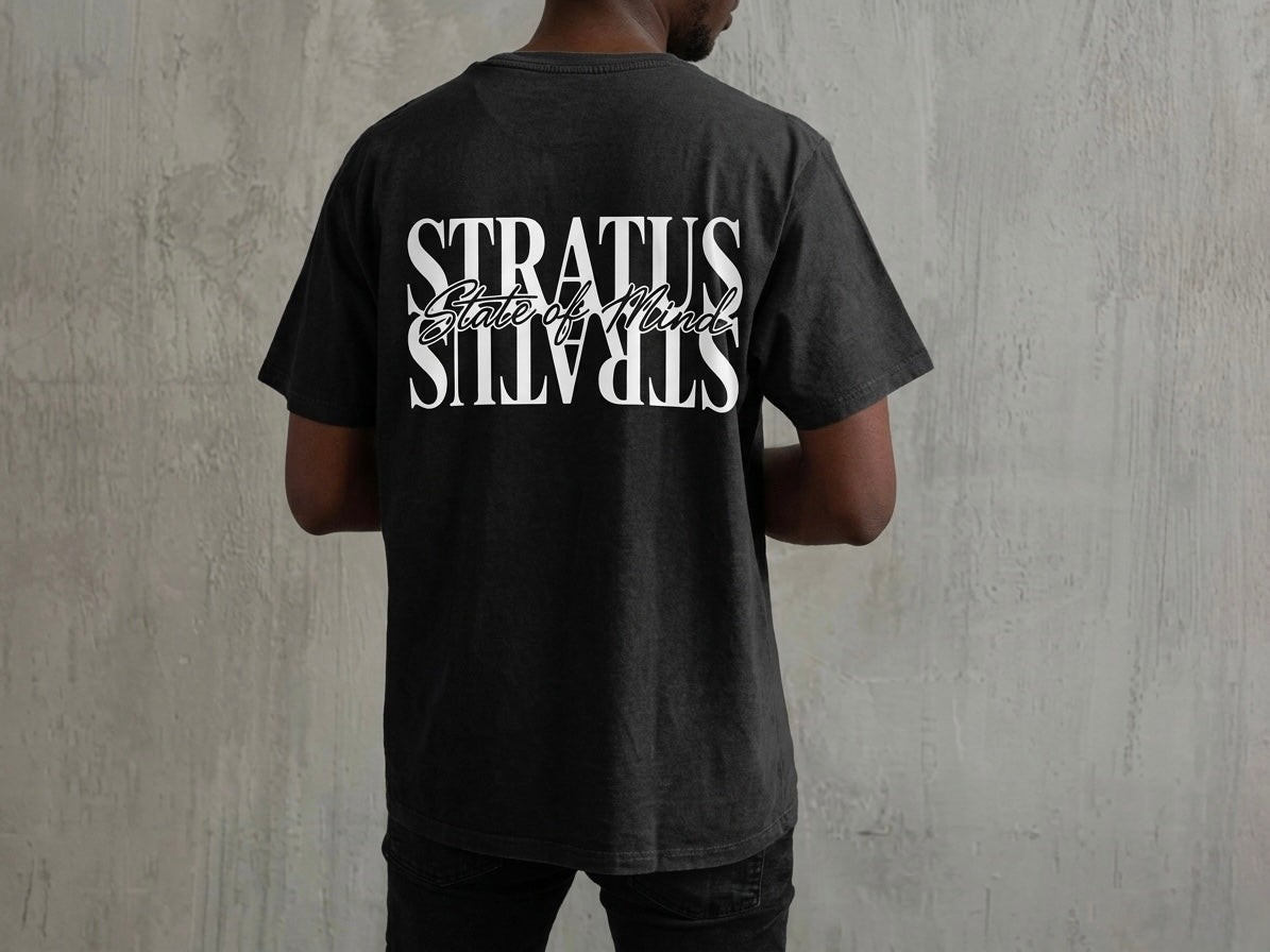 Flipped Stratus SOM Heavyweight Drop Shoulder Cotton T-Shirt
